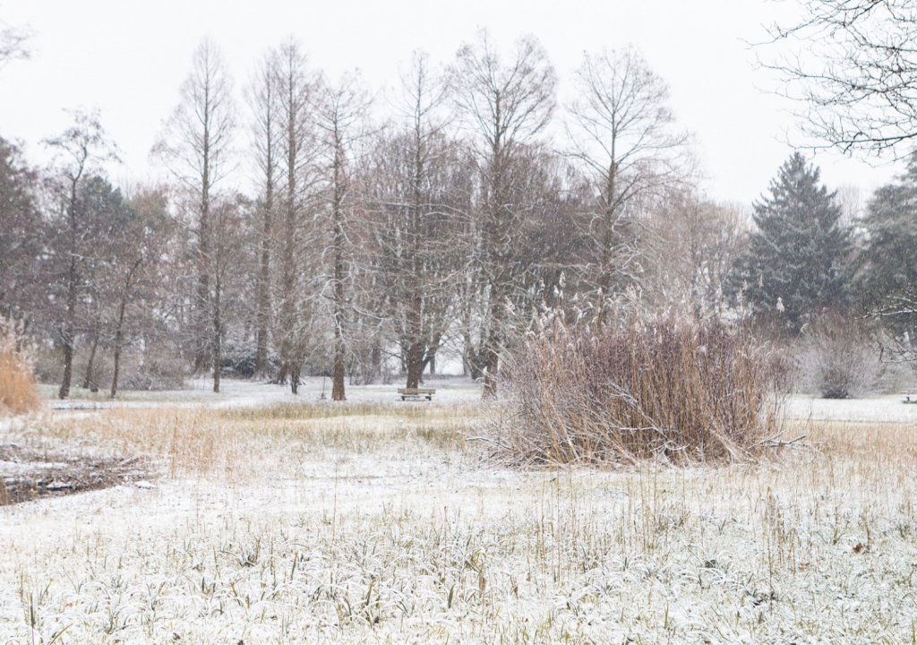 Arboretum Heempark Winter sneeuwlandschap 1.jpg